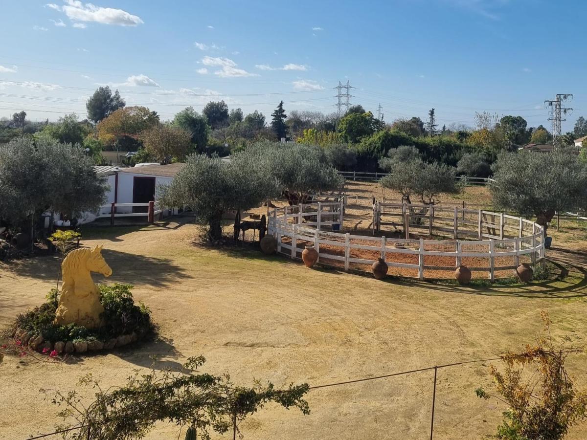 Finca Rural La Canera 16 Huespedes เซบีญา ภายนอก รูปภาพ