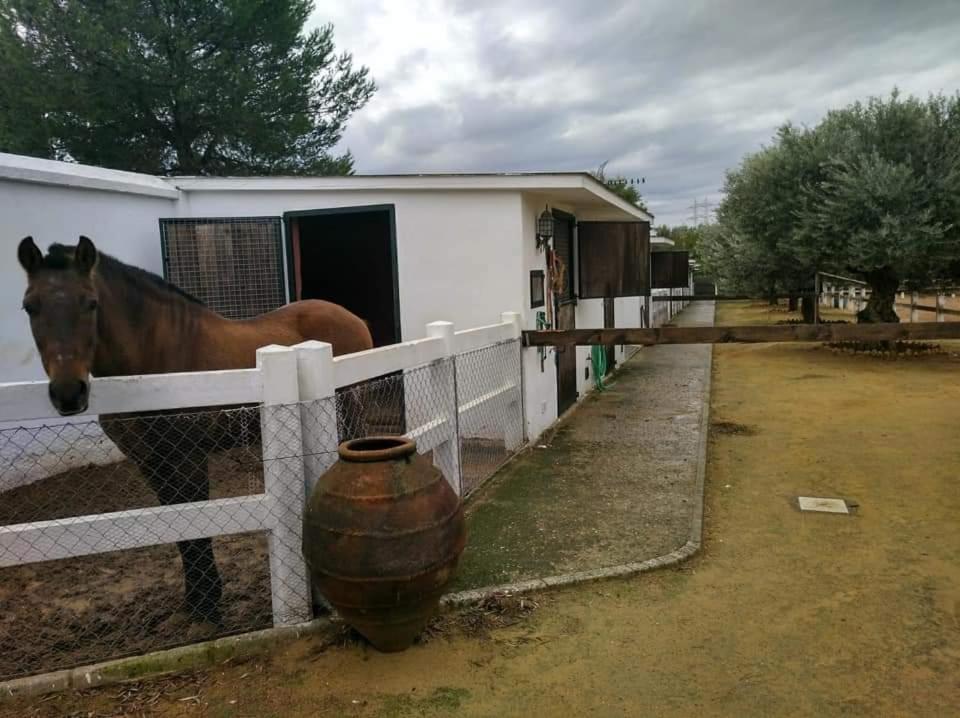Finca Rural La Canera 16 Huespedes เซบีญา ภายนอก รูปภาพ